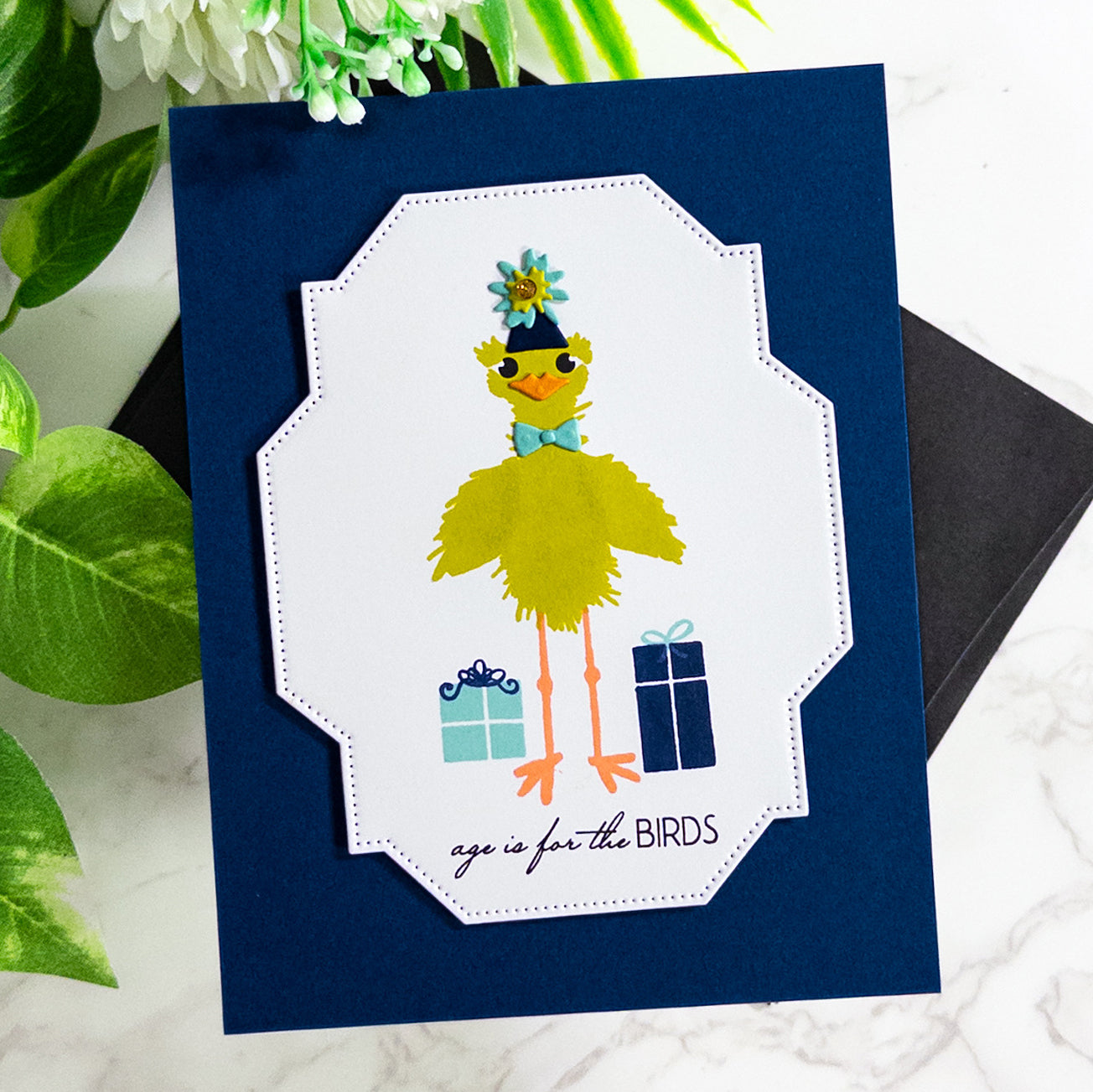 Fuzzy Wuzzies Birthday Suit Add-On 4x4 Stamps and Coordinating Dies