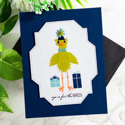 Fuzzy Wuzzies Birthday Suit Add-On 4x4 Stamps and Coordinating Dies