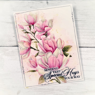 Sweet Magnolias Bundle