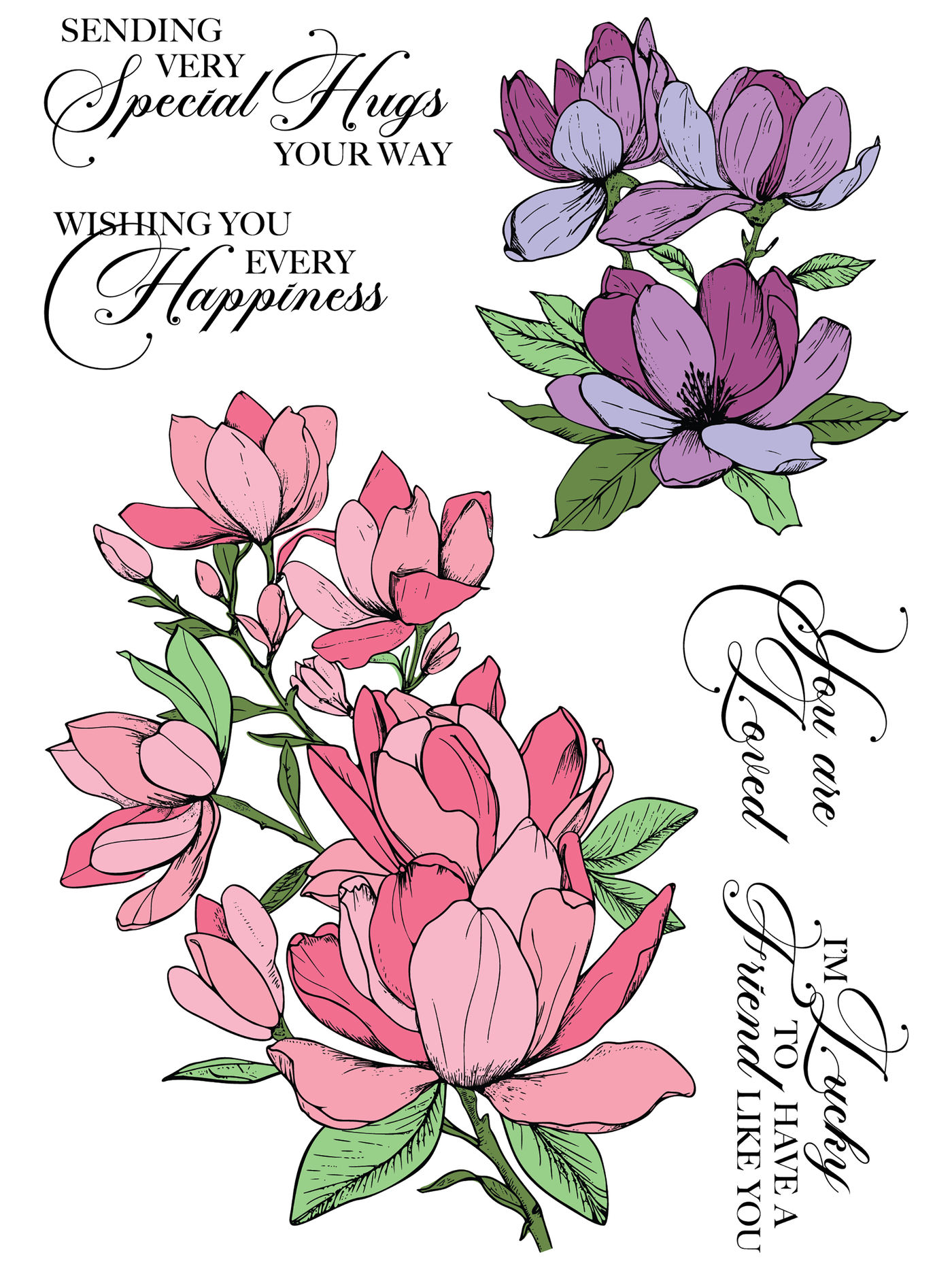 Sweet Magnolias 6x8 Stamps