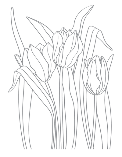 Tulips Impress-ion Press + Foil Plate