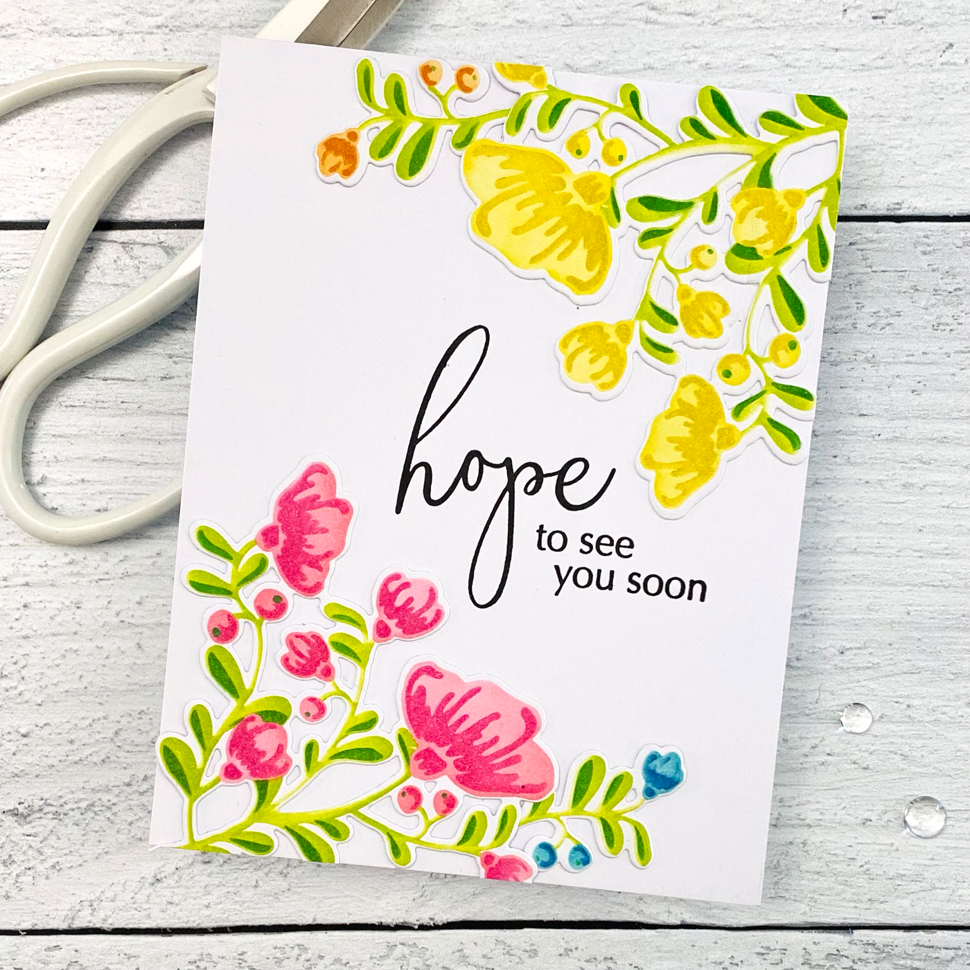 Forget Me Not 4x6 Stamp Set